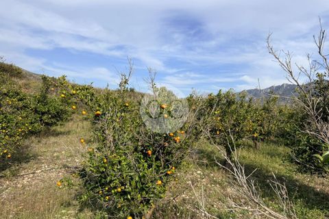 Helårsgrund i Vall De Gallinera, Alicante, Vall De Gallinera - € 45.000 | Ref: AS077/6904 - foto 3