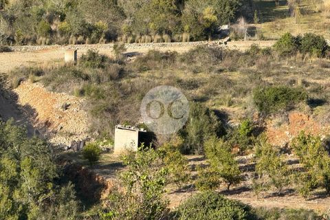 Helårsgrund i Vall De Gallinera, Alicante, Vall De Gallinera - € 45.000 | Ref: AS077/6904 - foto 4