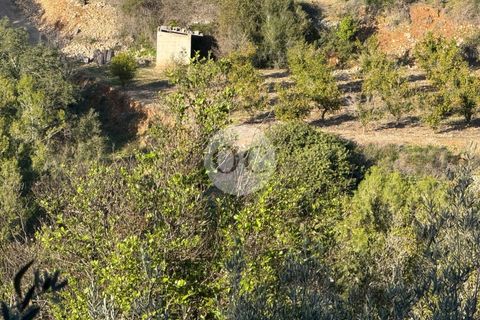Helårsgrund i Vall De Gallinera, Alicante, Vall De Gallinera - € 45.000 | Ref: AS077/6904 - foto 5