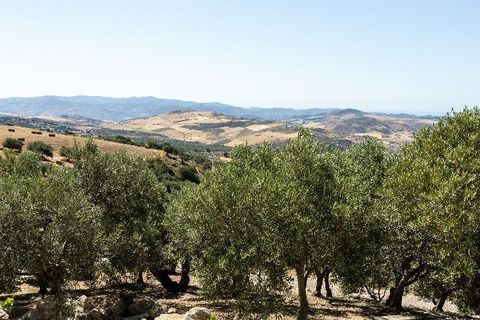 Villa i Antequera, Malaga, Antequera - € 2.550.000 | Ref: SPM5509 - foto 33