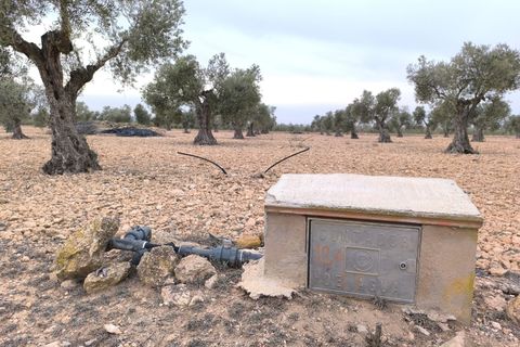 Helårsgrund i Yecla, Murcia, Yecla - € 52.500 | Ref: 40058-c26PB - foto 1
