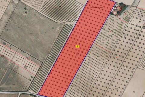 Helårsgrund i Yecla, Murcia, Yecla - € 52.500 | Ref: 40058-c26PB - foto 7