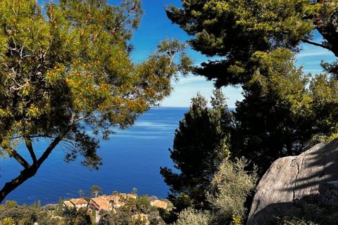 Landejendom i Deia, Mallorca, Deia - € 6.250.000 | Ref: SWODEI5393 - foto 31