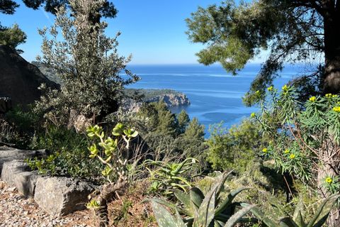 Landejendom i Deia, Mallorca, Deia - € 6.250.000 | Ref: SWODEI5393 - foto 34