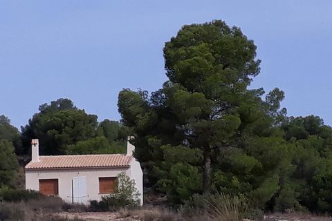 Landejendom i Pinoso, Alicante, Pinoso - € 135.000 | Ref: ELS9063 - foto 6