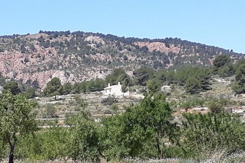 Landejendom i Pinoso, Alicante, Pinoso - € 135.000 | Ref: ELS9063 - foto 14