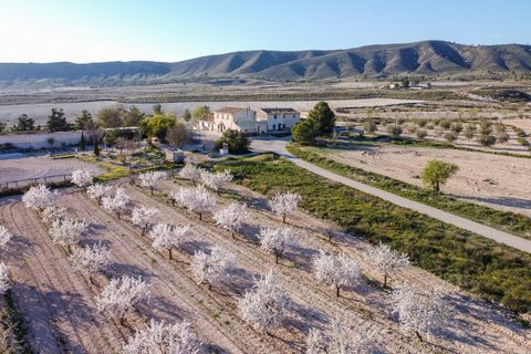 Landejendom i Jumilla, Murcia, Jumilla - € 254.900 | Ref: CF3303 - foto 2