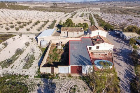 Landejendom i Jumilla, Murcia, Jumilla - € 254.900 | Ref: CF3303 - foto 41