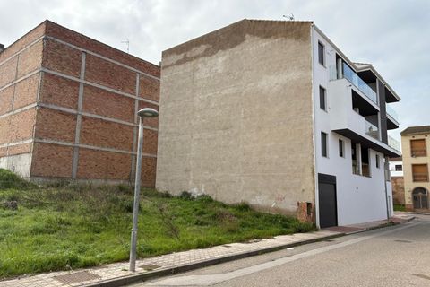 Terra a Mengibar, Jaen, Mengibar - € 49.900 | Ref: EXP13434/8930 - foto 5