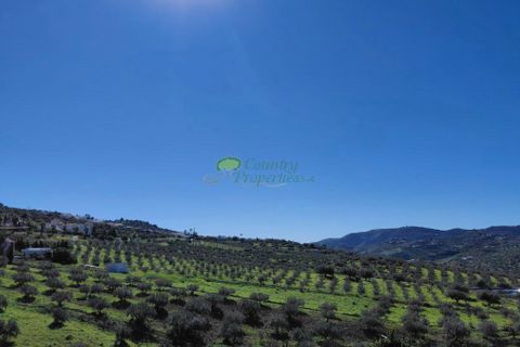 Landejendom i Alcaucin, Malaga, Alcaucin - € 685.000 | Ref: 7988 - foto 42