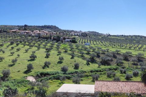 Landejendom i Alcaucin, Malaga, Alcaucin - € 685.000 | Ref: 7988 - foto 43