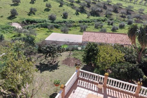 Landejendom i Alcaucin, Malaga, Alcaucin - € 685.000 | Ref: 7988 - foto 44