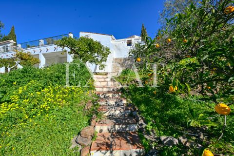 Landejendom i Competa, Malaga, Competa - € 1.100.000 | Ref: 0477 - foto 8