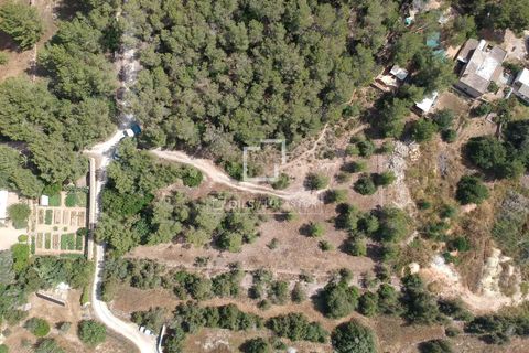 Terra a Ibiza, Ibiza, Ibiza - € 1.695.000 | Ref: IBZ57563 - foto 8