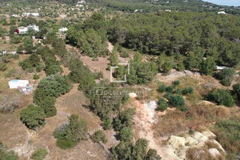 Terra a Ibiza, Ibiza, Ibiza - € 1.695.000 | Ref: IBZ57563 - foto 10