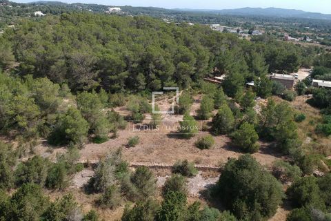 Terra a Ibiza, Ibiza, Ibiza - € 1.695.000 | Ref: IBZ57563 - foto 11
