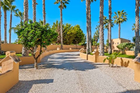 Finca i Rafal, Alicante, Rafal - € 650.000 | Ref: SLP2764 - foto 33