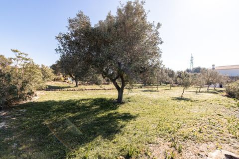 Finca i Teulada, Alicante, Teulada - € 860 000 | Ref: 2610V-E - foto 8