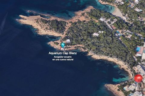 Leilighet i Cala Gracio, Ibiza, Cala Gracio - € 650 000 | Ref:  IR-D-IR-649 - foto 11
