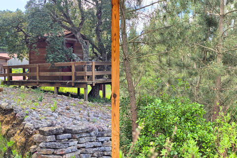 Farm i Loures, Lisbon, Loures - € 1.450.000 | Ref: CI0004452 - foto 32