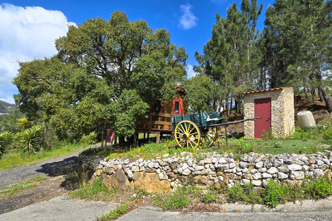 Farm i Loures, Lisbon, Loures - € 1.450.000 | Ref: CI0004452 - foto 31