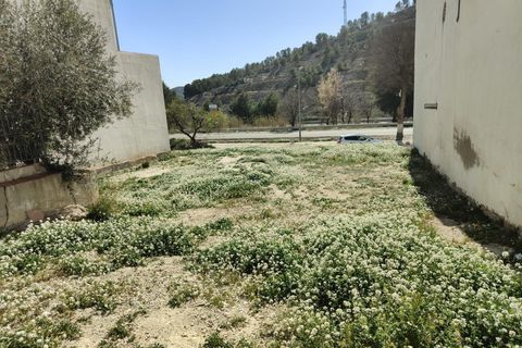 Terra a Velez-Rubio, Almeria, Velez-Rubio - € 25.900 | Ref: 0062v/10853 - foto 2