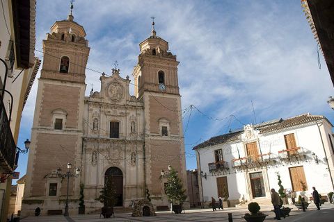 Terra a Velez-Rubio, Almeria, Velez-Rubio - € 25.900 | Ref: 0062v/10853 - foto 14