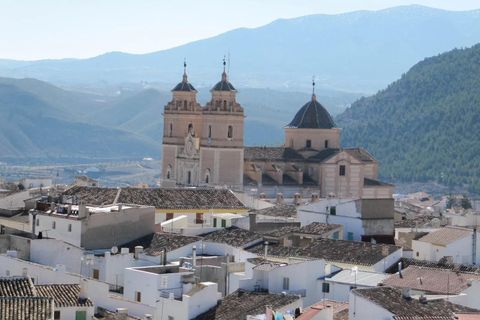 Terra a Velez-Rubio, Almeria, Velez-Rubio - € 25.900 | Ref: 0062v/10853 - foto 17