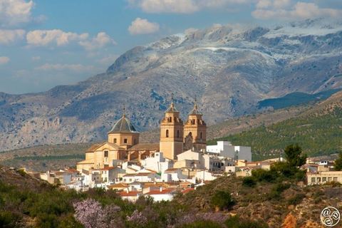 Terra a Velez-Rubio, Almeria, Velez-Rubio - € 25.900 | Ref: 0062v/10853 - foto 18
