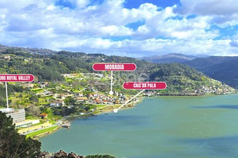 Villa i Ancede e Ribadouro, Porto, Ancede e Ribadouro - € 267.000 | Ref: ZMPT585590 - foto 6