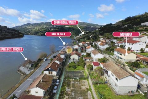 Villa i Ancede e Ribadouro, Porto, Ancede e Ribadouro - € 267.000 | Ref: ZMPT585590 - foto 7