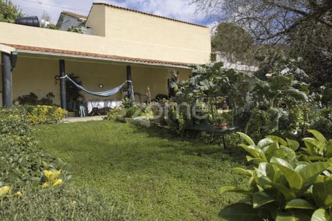 Villa i Ancede e Ribadouro, Porto, Ancede e Ribadouro - € 267.000 | Ref: ZMPT585590 - foto 34