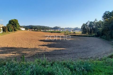 Terra a Muro, Porto, Muro - € 130.000 | Ref: ZMPT582361 - foto 2