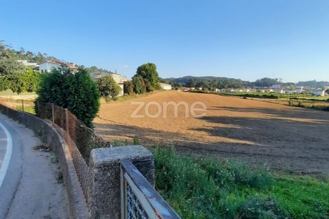Terra a Muro, Porto, Muro - € 130.000 | Ref: ZMPT582361 - foto 3