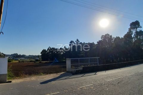 Terra a Muro, Porto, Muro - € 130.000 | Ref: ZMPT582361 - foto 5