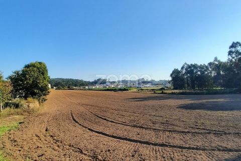 Terra a Muro, Porto, Muro - € 130.000 | Ref: ZMPT582361 - foto 6
