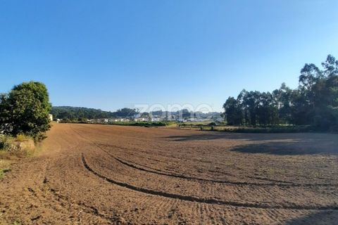 Terra a Muro, Porto, Muro - € 130.000 | Ref: ZMPT582361 - foto 7