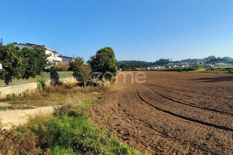Terra a Muro, Porto, Muro - € 130.000 | Ref: ZMPT582361 - foto 8