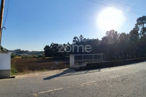 Terra a Muro, Porto, Muro - € 130.000 | Ref: ZMPT582361 - foto 10
