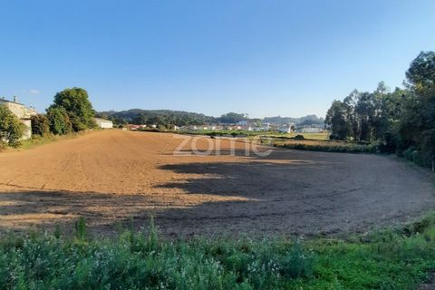 Terra a Muro, Porto, Muro - € 130.000 | Ref: ZMPT582361 - foto 11