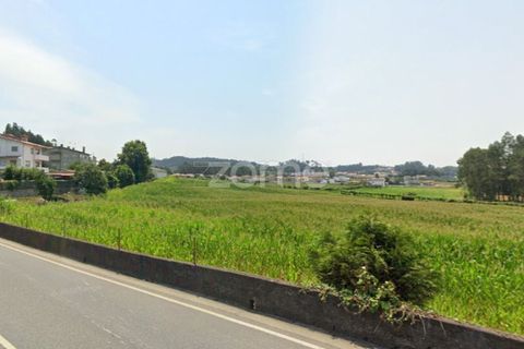 Terra a Muro, Porto, Muro - € 130.000 | Ref: ZMPT582361 - foto 12