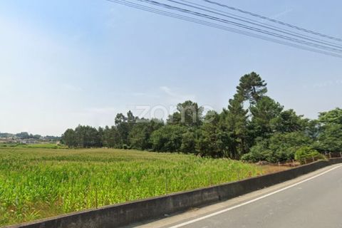 Terra a Muro, Porto, Muro - € 130.000 | Ref: ZMPT582361 - foto 13