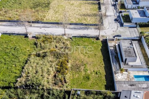 Terra a Grijo, Porto, Grijo - € 150.000 | Ref: ZMPT584196 - foto 3