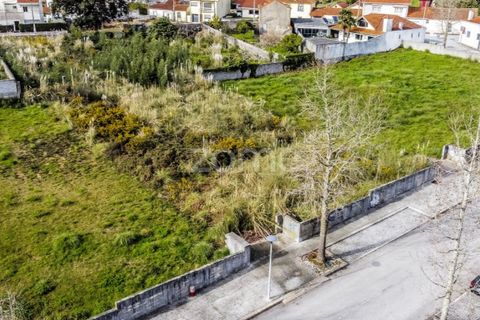 Terra a Grijo, Porto, Grijo - € 150.000 | Ref: ZMPT584196 - foto 7