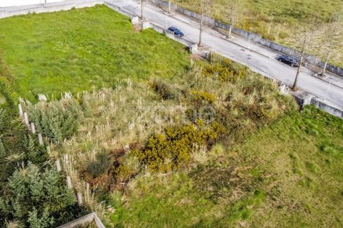 Terra a Grijo, Porto, Grijo - € 150.000 | Ref: ZMPT584196 - foto 9