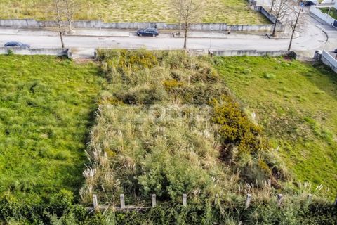 Terra a Grijo, Porto, Grijo - € 150.000 | Ref: ZMPT584196 - foto 10