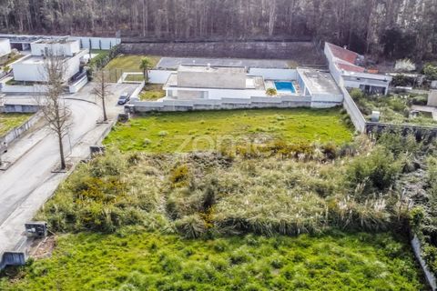 Terra a Grijo, Porto, Grijo - € 150.000 | Ref: ZMPT584196 - foto 13
