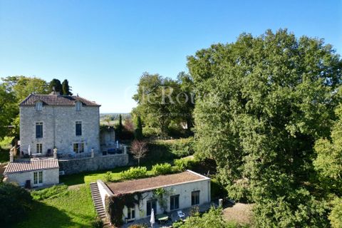 Landejendom i Issigeac, Dordogne, Issigeac - € 956.800 | Ref: CIS005 - foto 5