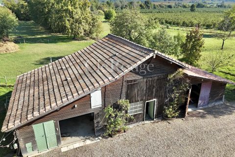 Villa i Duras, Lot-et-Garonne, Duras - € 380.000 | Ref: CTR039 - foto 20