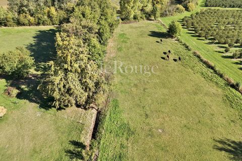 Villa i Duras, Lot-et-Garonne, Duras - € 380.000 | Ref: CTR039 - foto 21
